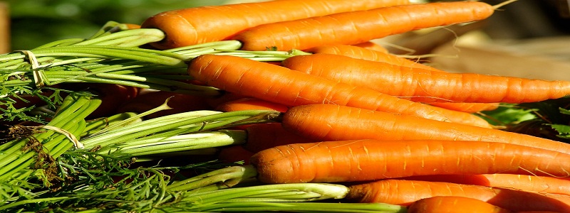FarmFresh Vegetables