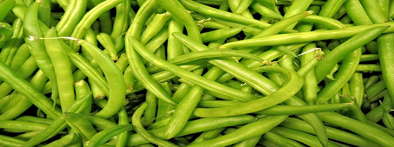 FarmFresh Vegetables